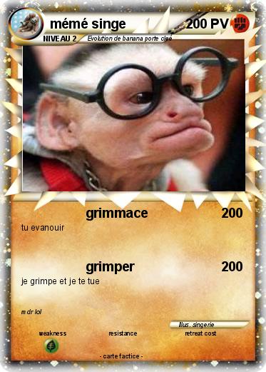 Pokemon mémé singe