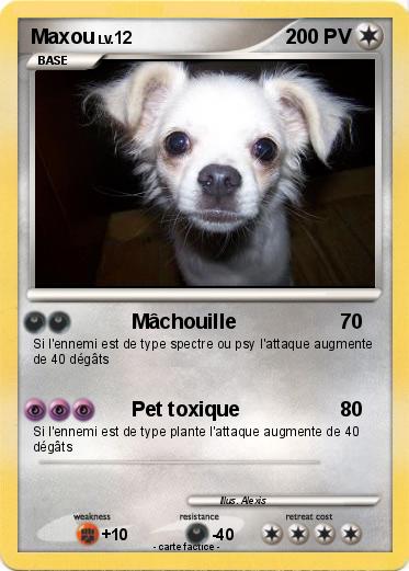 Pokemon Maxou