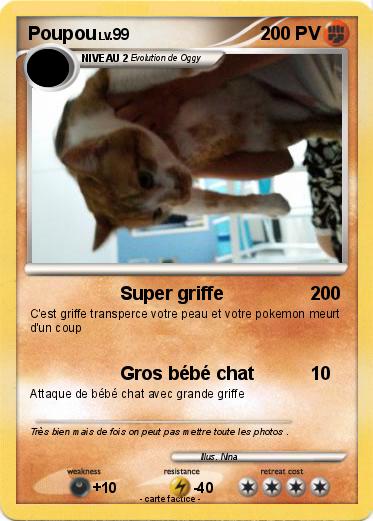 Pokemon Poupou