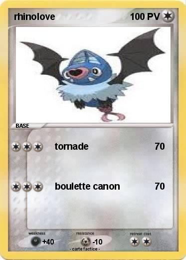 Pokemon rhinolove