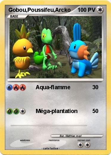 Pokemon Gobou,Poussifeu,Arcko
