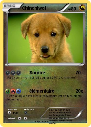 Pokemon Chinchiwof