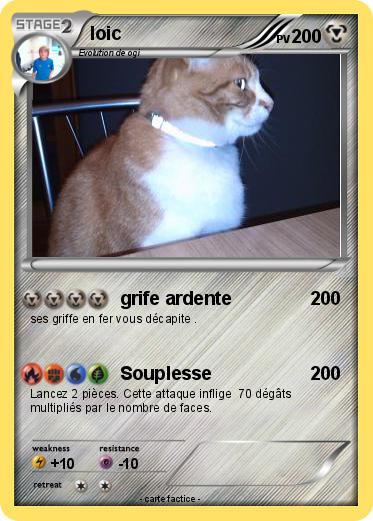 Pokemon loic