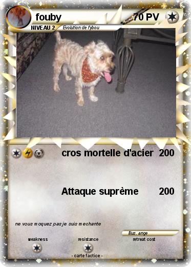 Pokemon fouby
