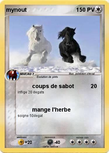 Pokemon mynout