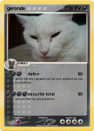 Pokemon geronde