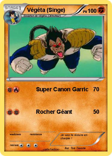 Pokemon Végéta (Singe)