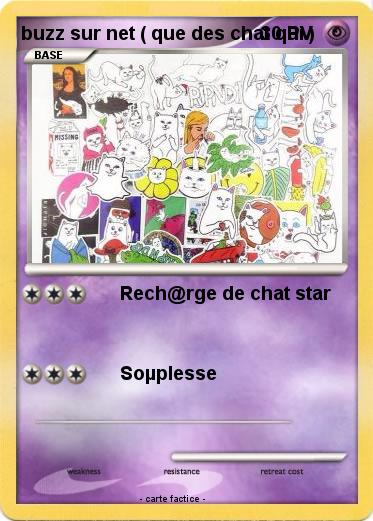 Pokemon buzz sur net ( que des chat qui )