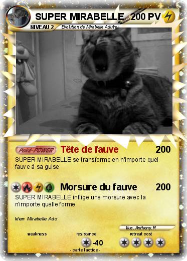 Pokemon SUPER MIRABELLE