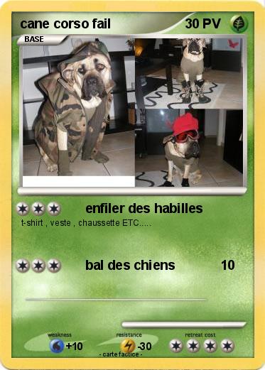 Pokemon cane corso fail