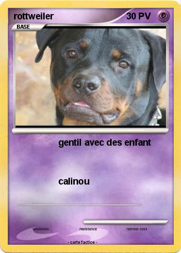 Pokemon rottweiler