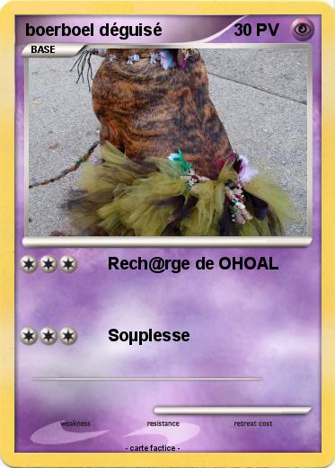 Pokemon boerboel déguisé