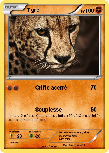 Pokemon Tigre