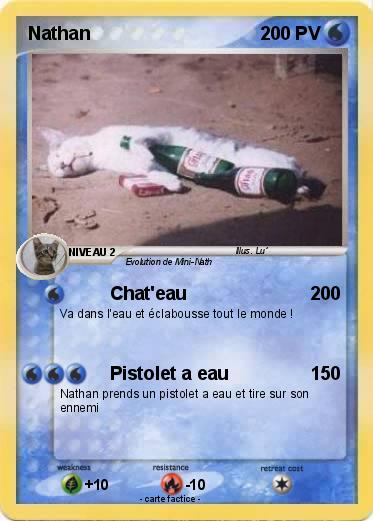 Pokemon Nathan
