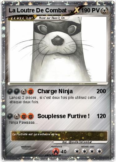 Pokemon La Loutre De Combat
