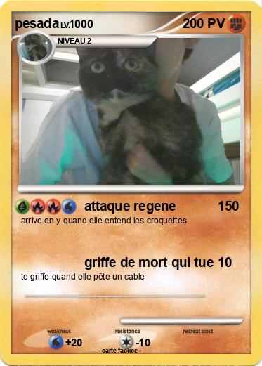 Pokemon pesada
