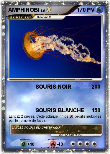 Pokemon AMPHINOBI