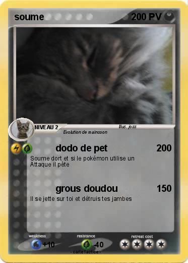 Pokemon soume
