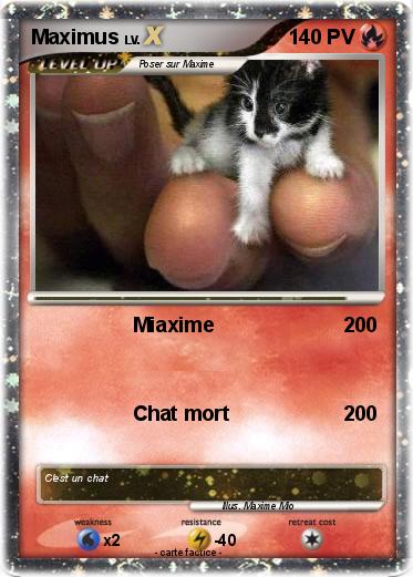 Pokemon Maximus