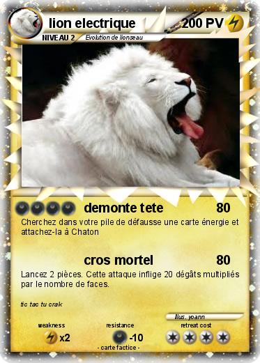 Pokemon lion electrique