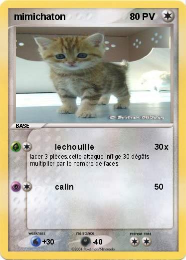 Pokemon mimichaton