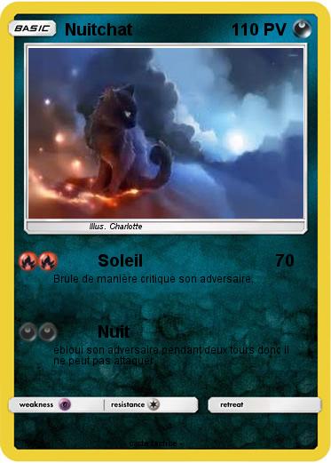 Pokemon Nuitchat