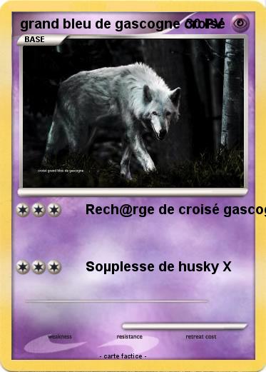Pokemon grand bleu de gascogne croisé
