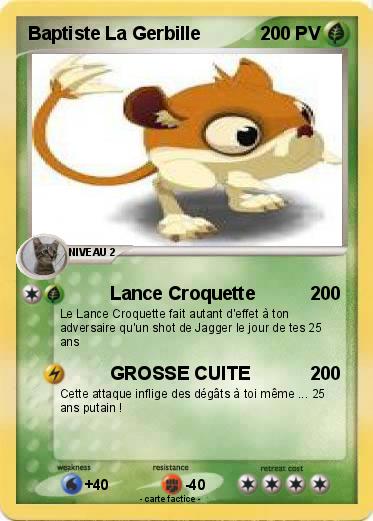 Pokemon Baptiste La Gerbille