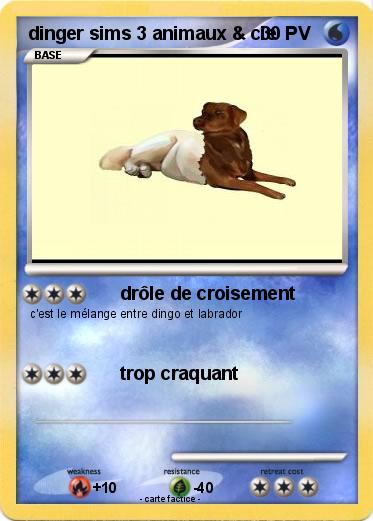 Pokemon dinger sims 3 animaux & cie