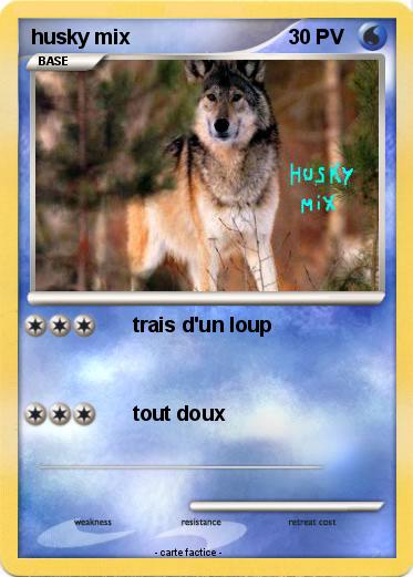 Pokemon husky mix