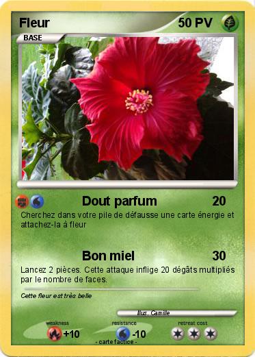 Pokemon Fleur