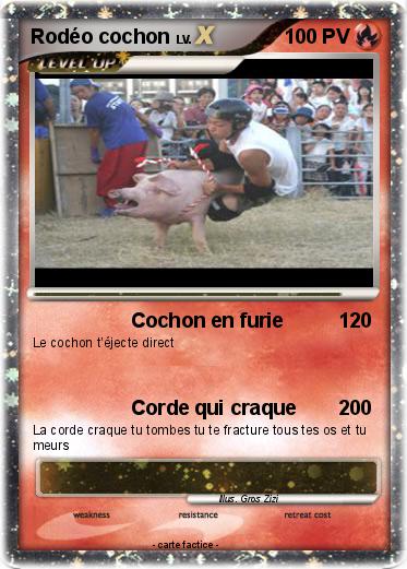 Pokemon Rodéo cochon