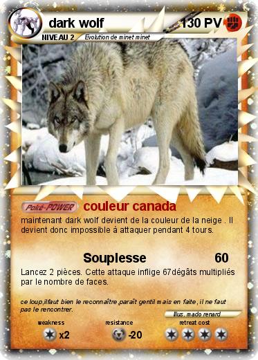 Pokemon dark wolf