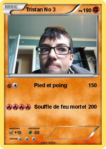 Pokemon Tristan No 3