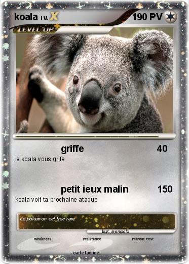 Pokemon koala