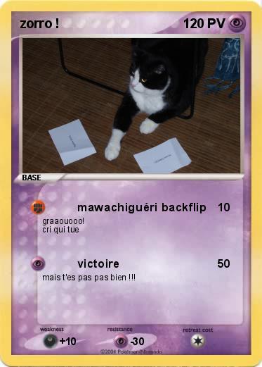 Pokemon zorro !
