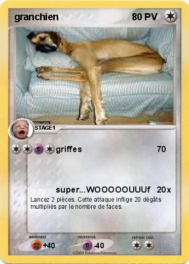Pokemon granchien