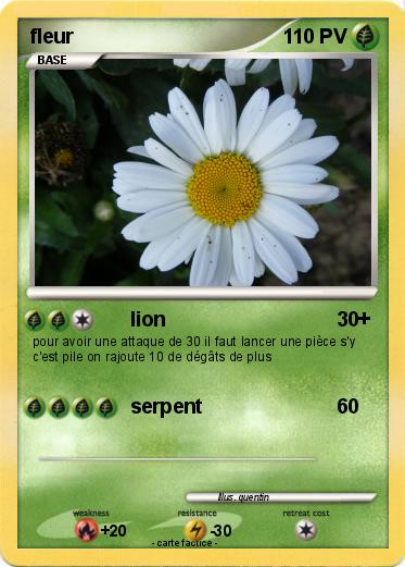 Pokemon fleur