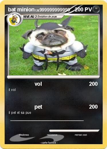 Pokemon bat minion