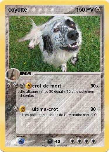 Pokemon coyotte