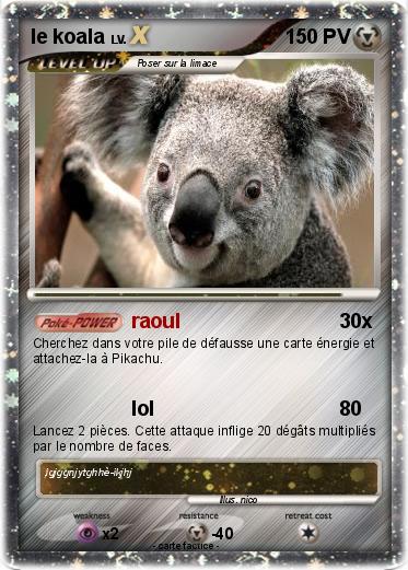 Pokemon le koala