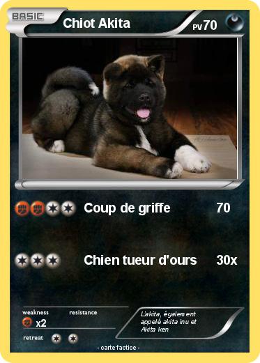 Pokemon Chiot Akita