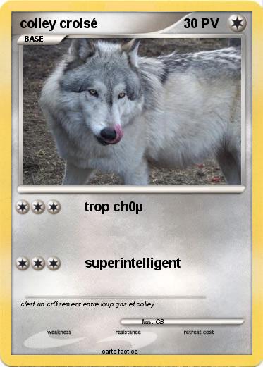 Pokemon colley croisé