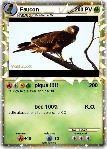 Pokemon Faucon