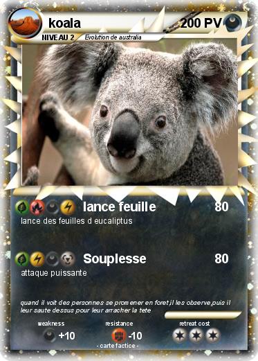 Pokemon koala