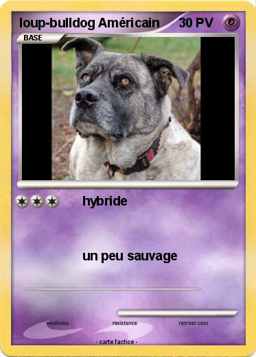 Pokemon loup-bulldog Américain