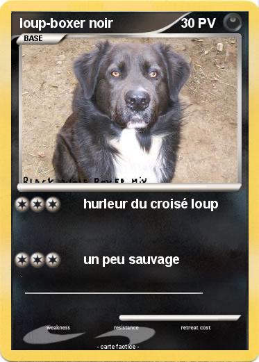 Pokemon loup-boxer noir