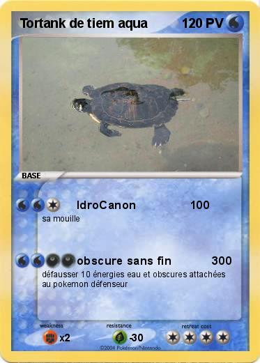 Pokemon Tortank de tiem aqua