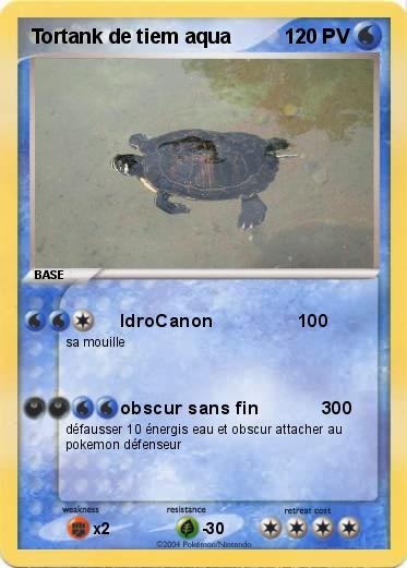Pokemon Tortank de tiem aqua