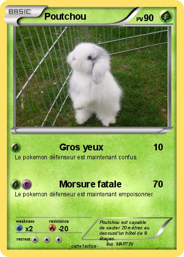 Pokemon Poutchou